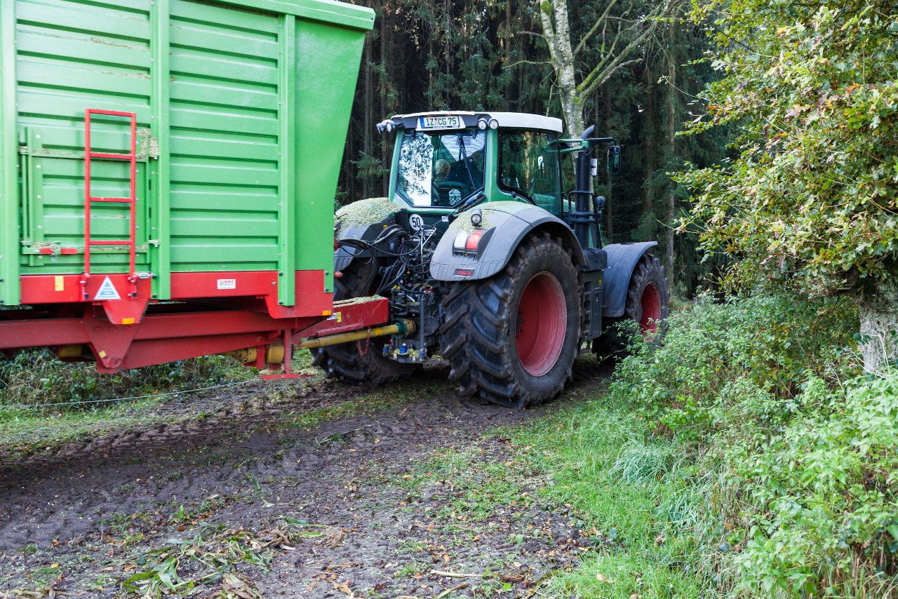 Bild 40 - Maisernte am 11.10.12